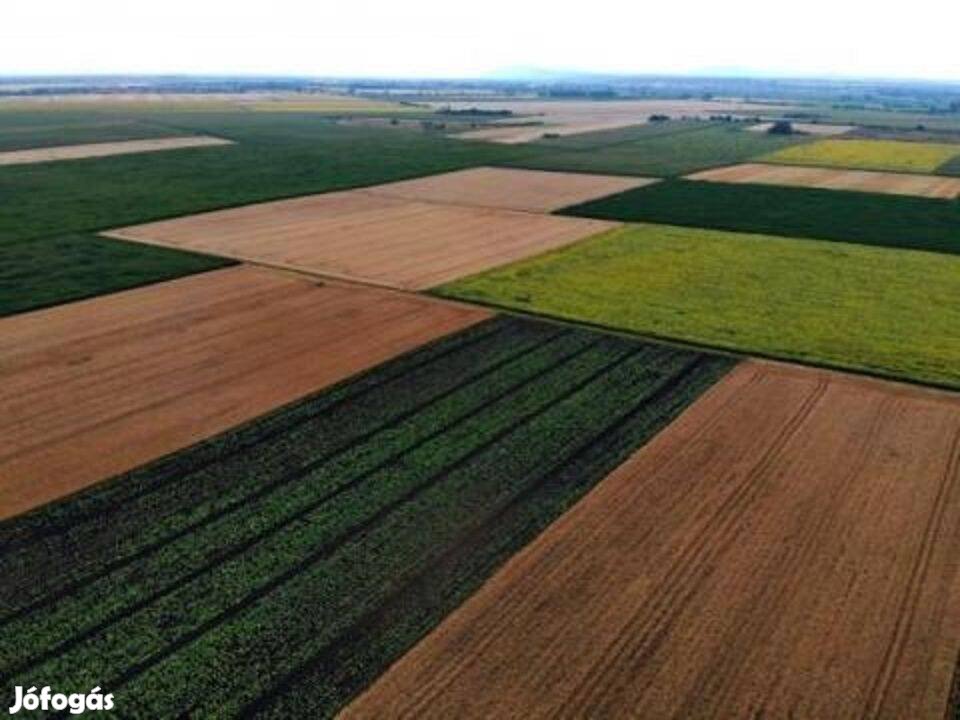 Kunágota külterületén szántóföld tulajdonrész eladó!