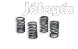 Kuplungrugók Malossi Racing AM6