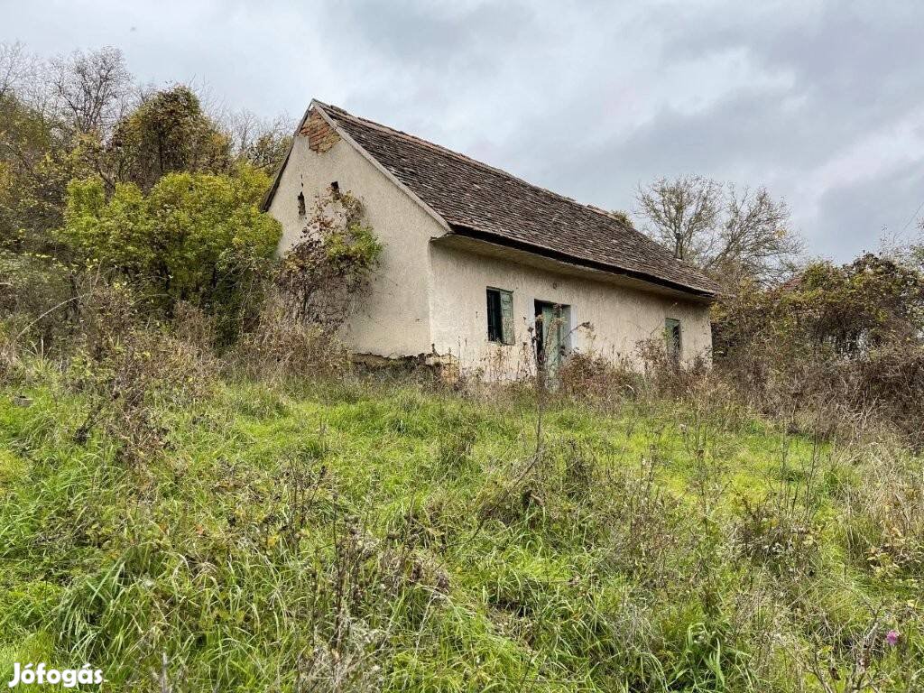Kurdi szőlőhegyen panorámás birtok eladó