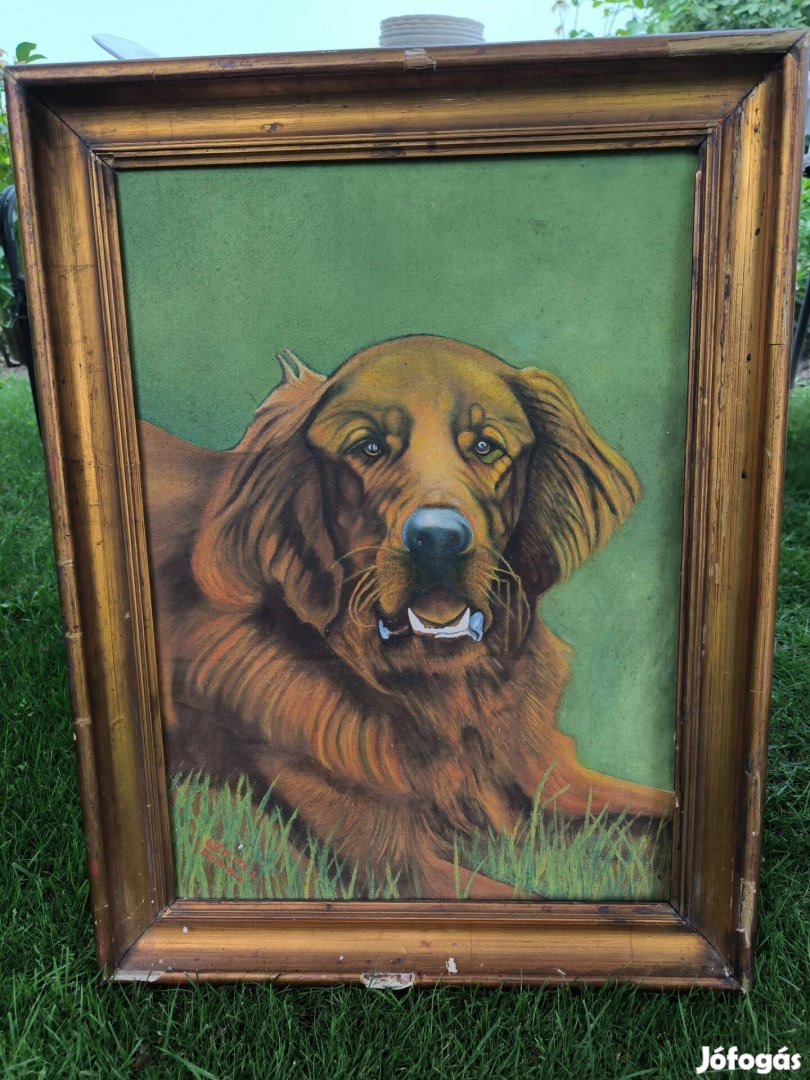 Kutya festmény eladó!Festmény a leghűségesebb barátról!