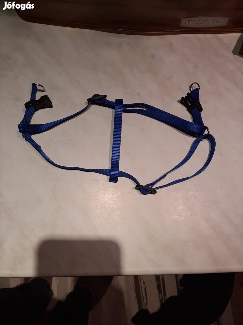 Kutya hámok S méretben