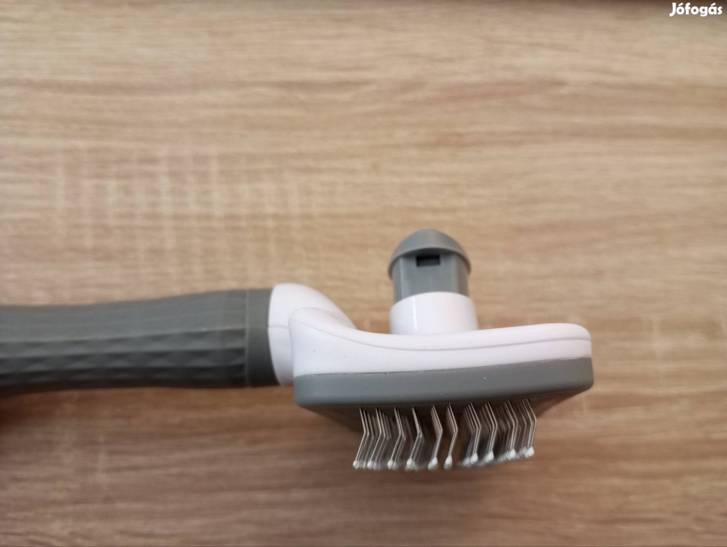 Kutya kefe, szőr eltávolítás, kiadó gombbal