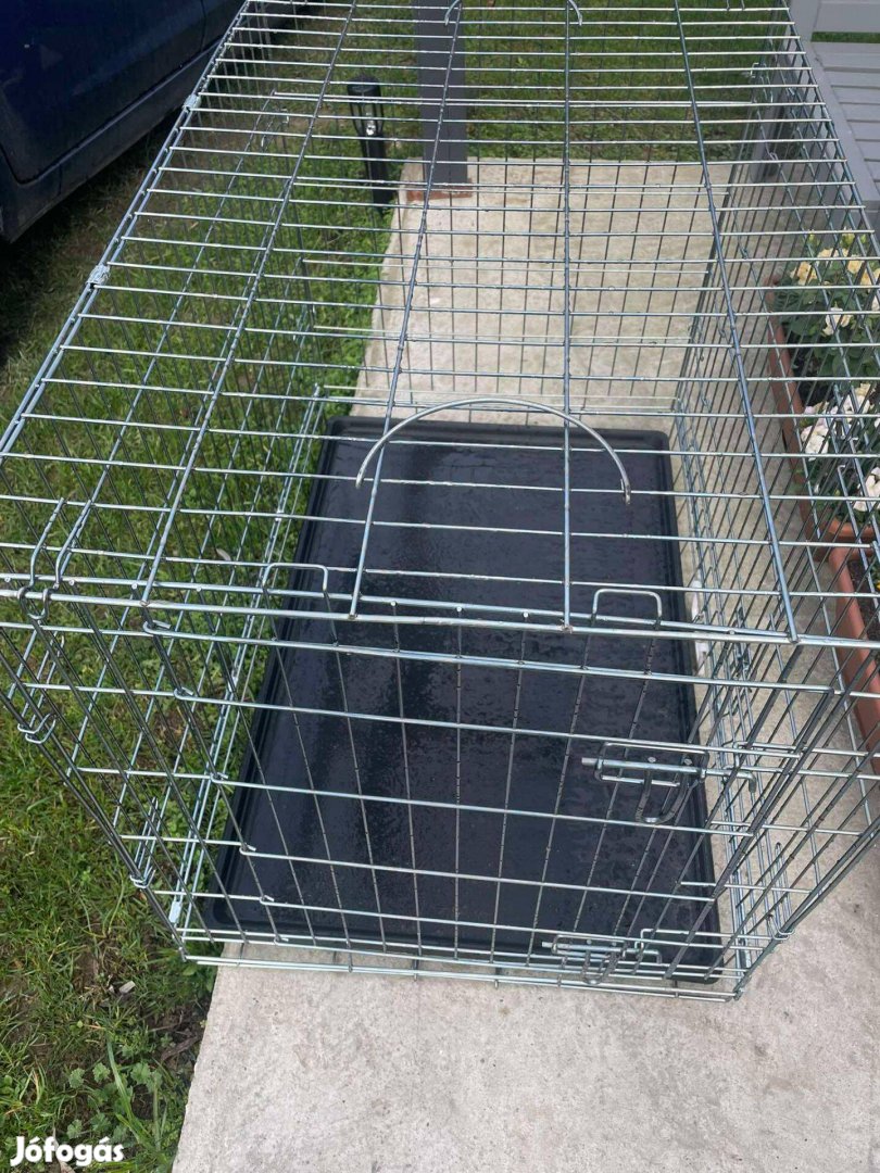 Kutya kennel