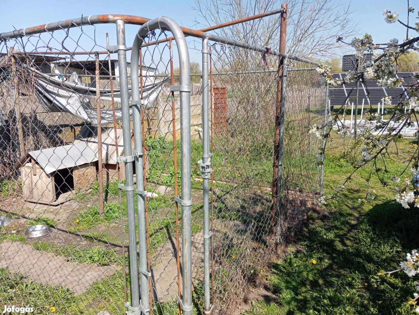 Kutya kennel használt