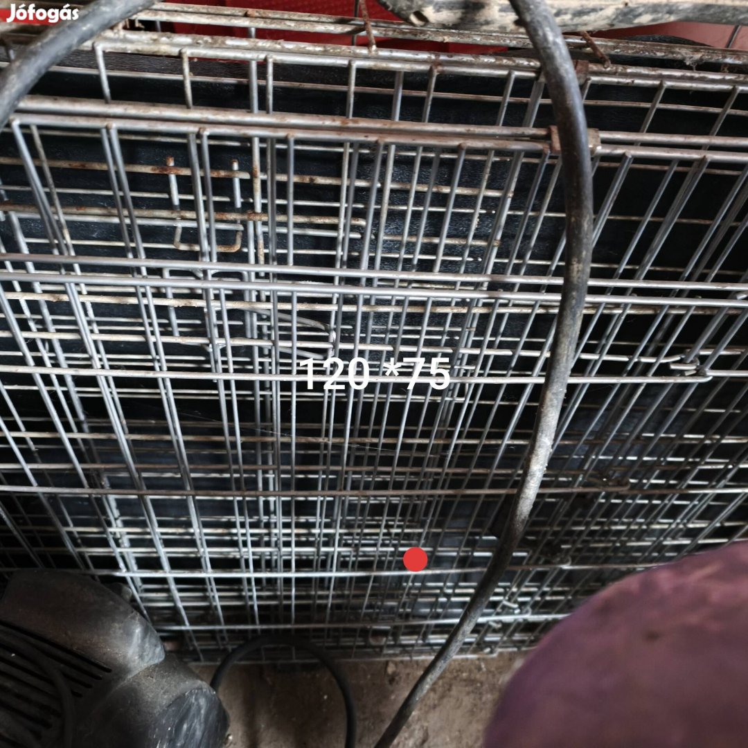 Kutya szálltó ketrec