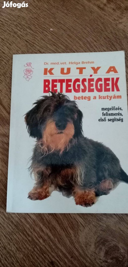 Kutyabetegségek -beteg a kutyám