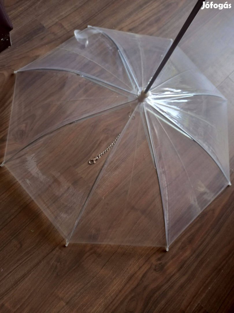 Kutyaesernyő