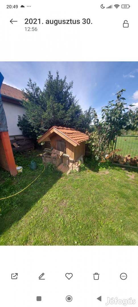 Kutyaház , nagytestű kutyának