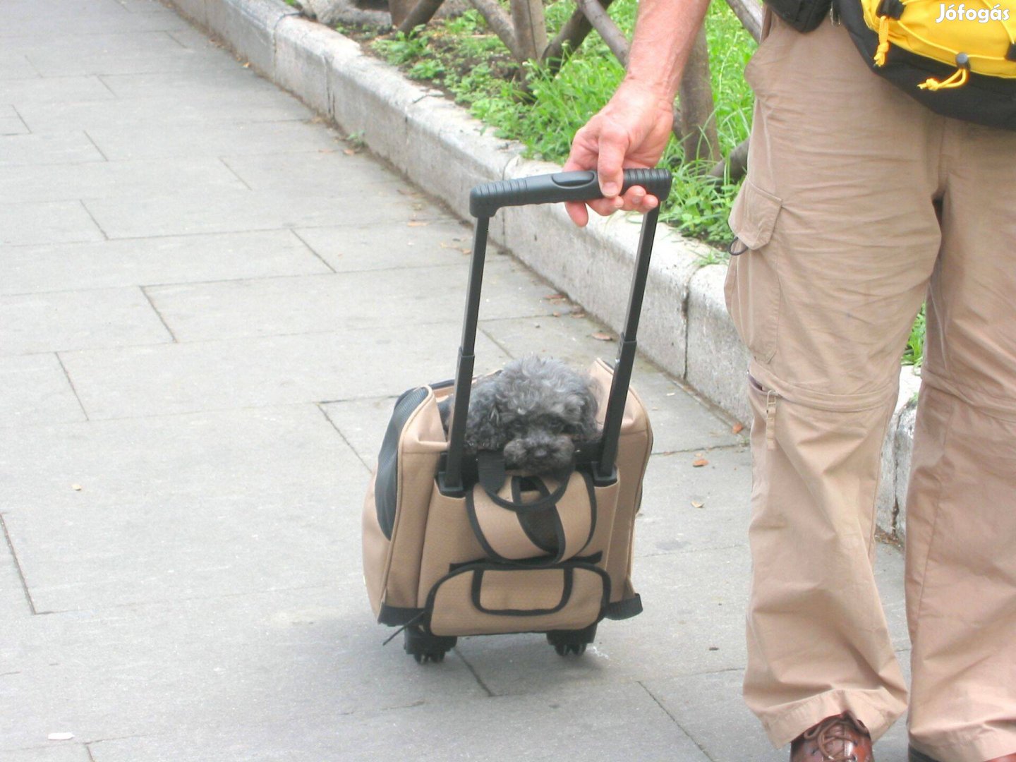 Kutyahordozó háti táska