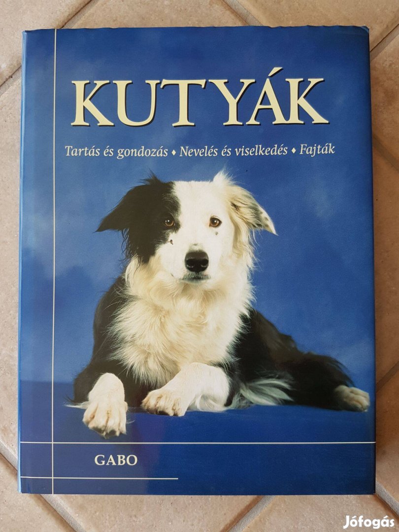 Kutyák - Tartás és gondozás, nevelés