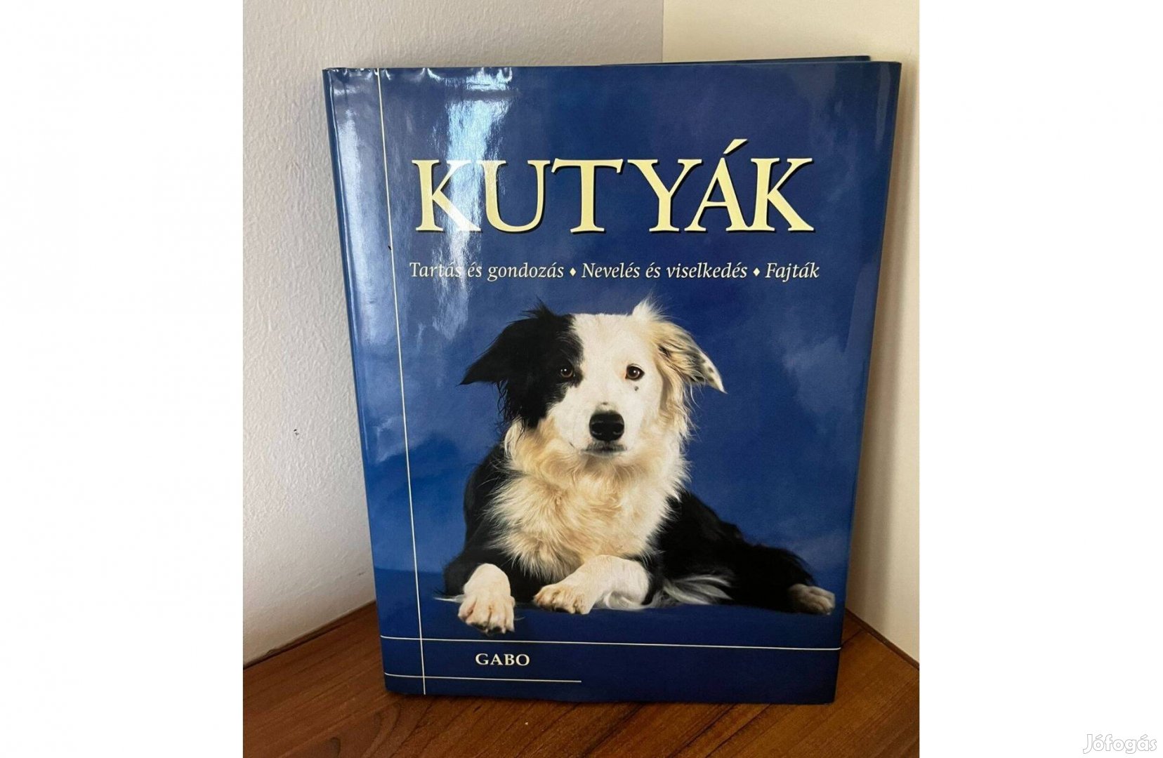 Kutyák - Tartás és gondozás állat könyv szakkönyv