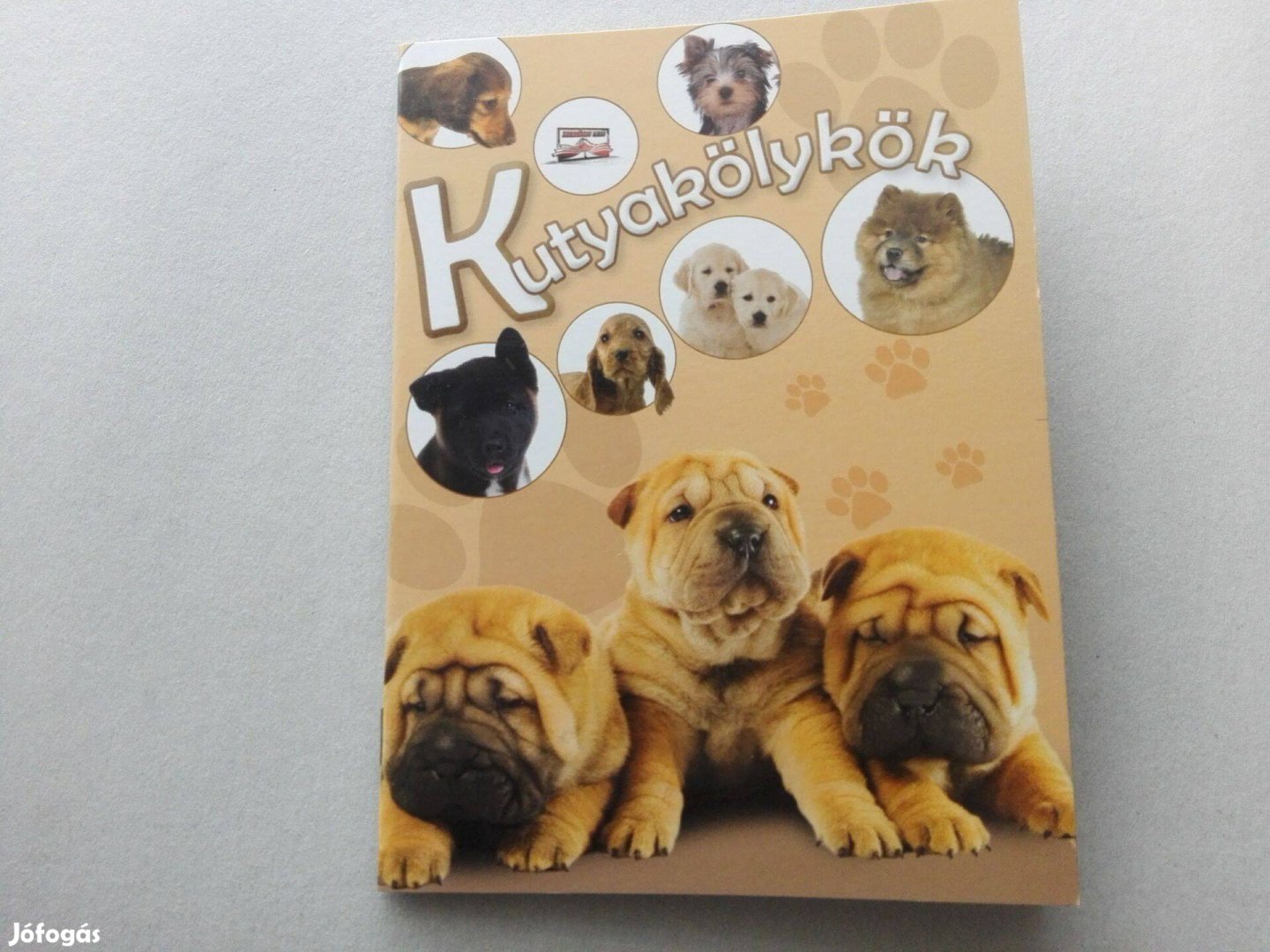 Kutyakölykök - Teljesen Új ismeretterjesztő füzet gyermekeknek eladó !