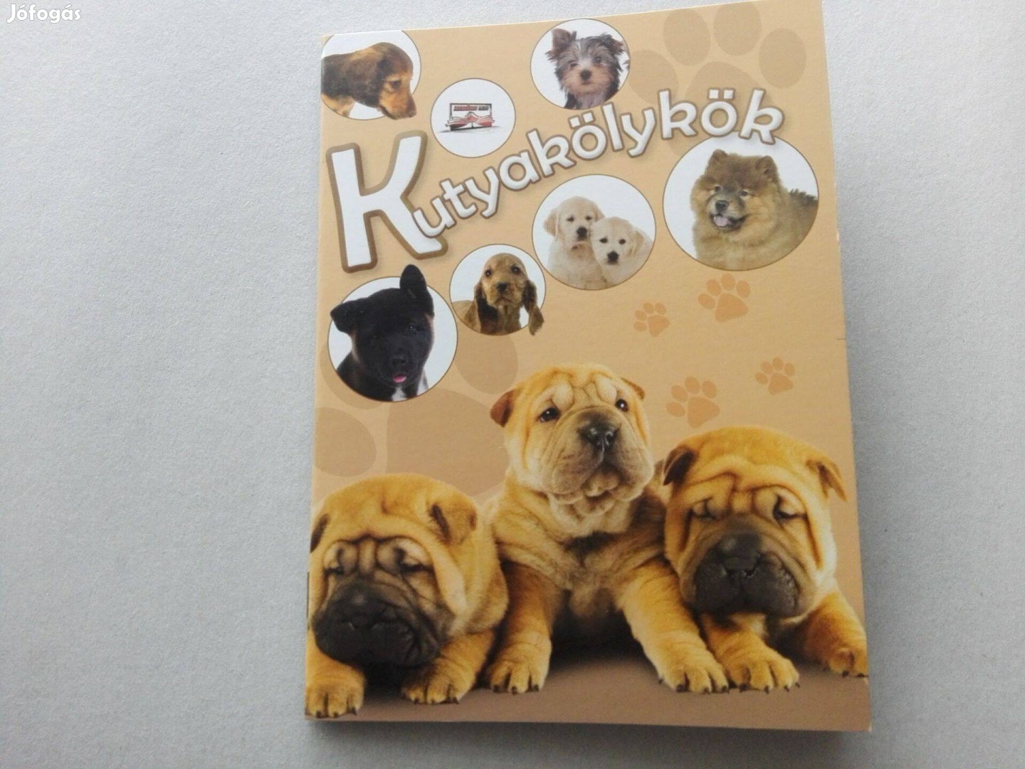 Kutyakölykök - Teljesen Új ismeretterjesztő füzet gyermekeknek eladó !