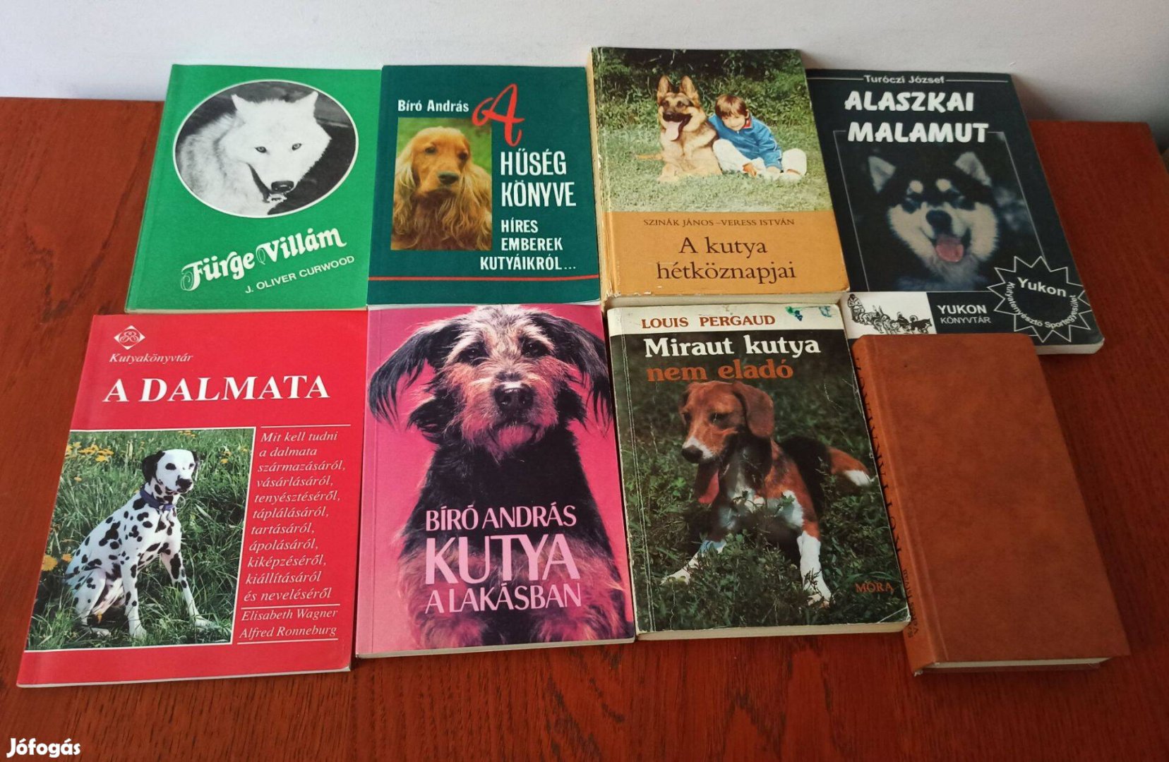 Kutyás könyvcsomag 10 db könyv