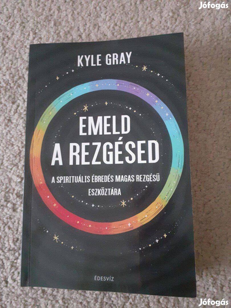 Kyle Gray Emeld a rezgésed spirituális könyv