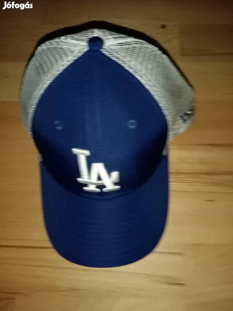 LA dodgers baseball sapi