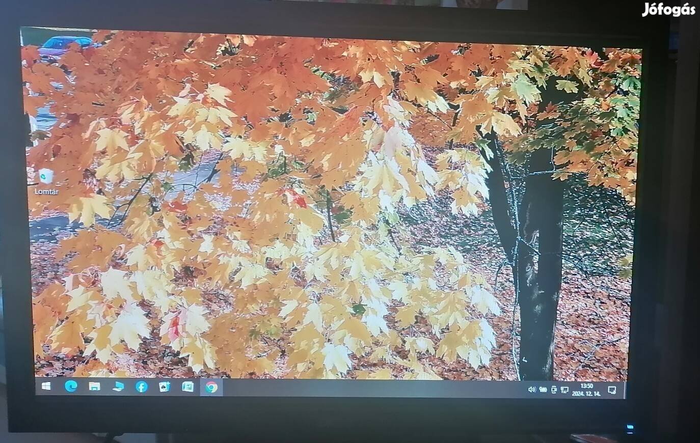 LCD Monitor 19"