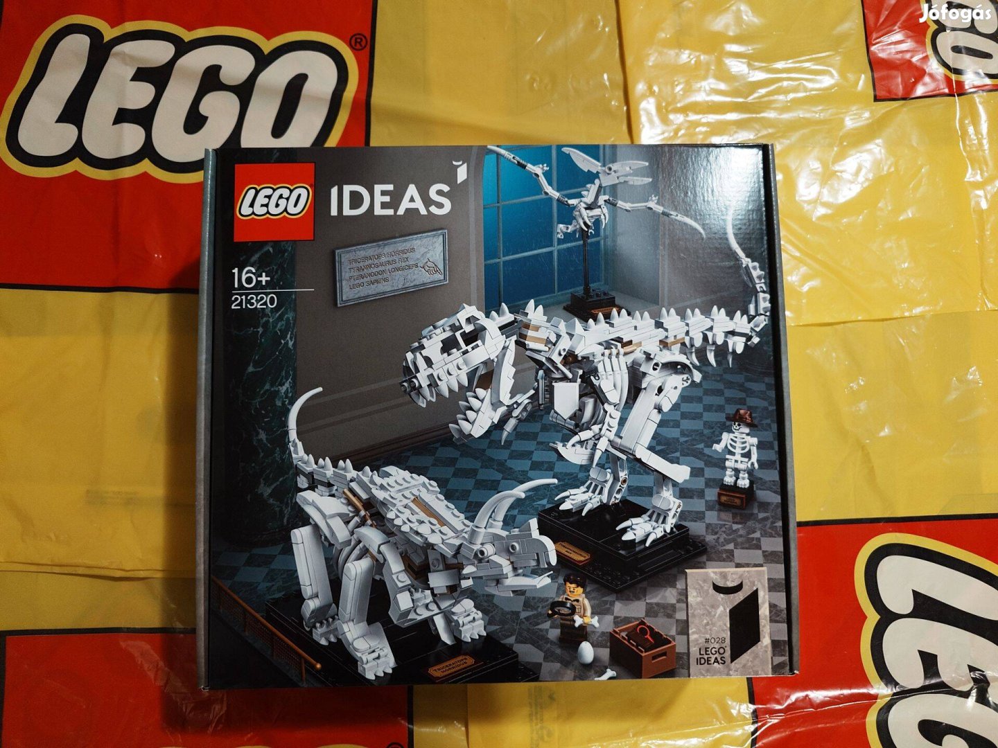 LEGO Ideas - Dinoszaurusz maradványok 21320