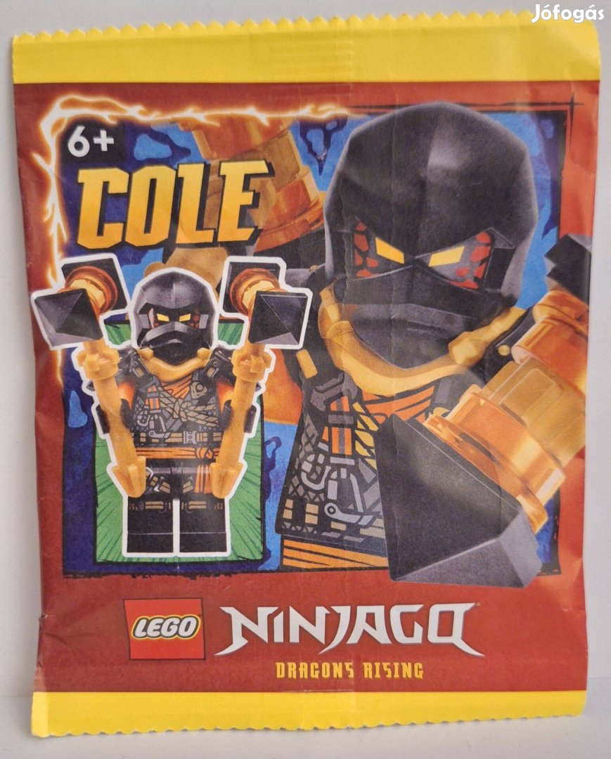 LEGO Ninjago 892408 Cole