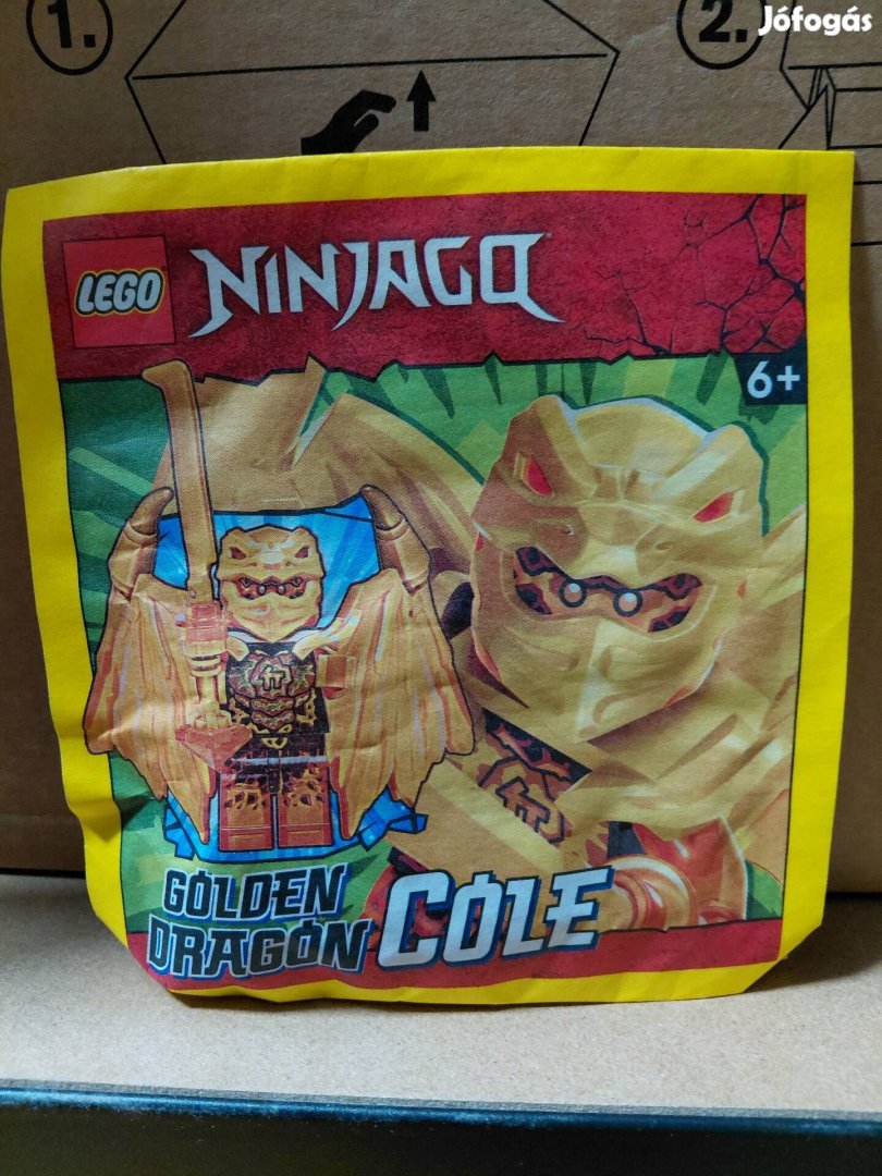 LEGO Ninjago Golden Dragon Cole