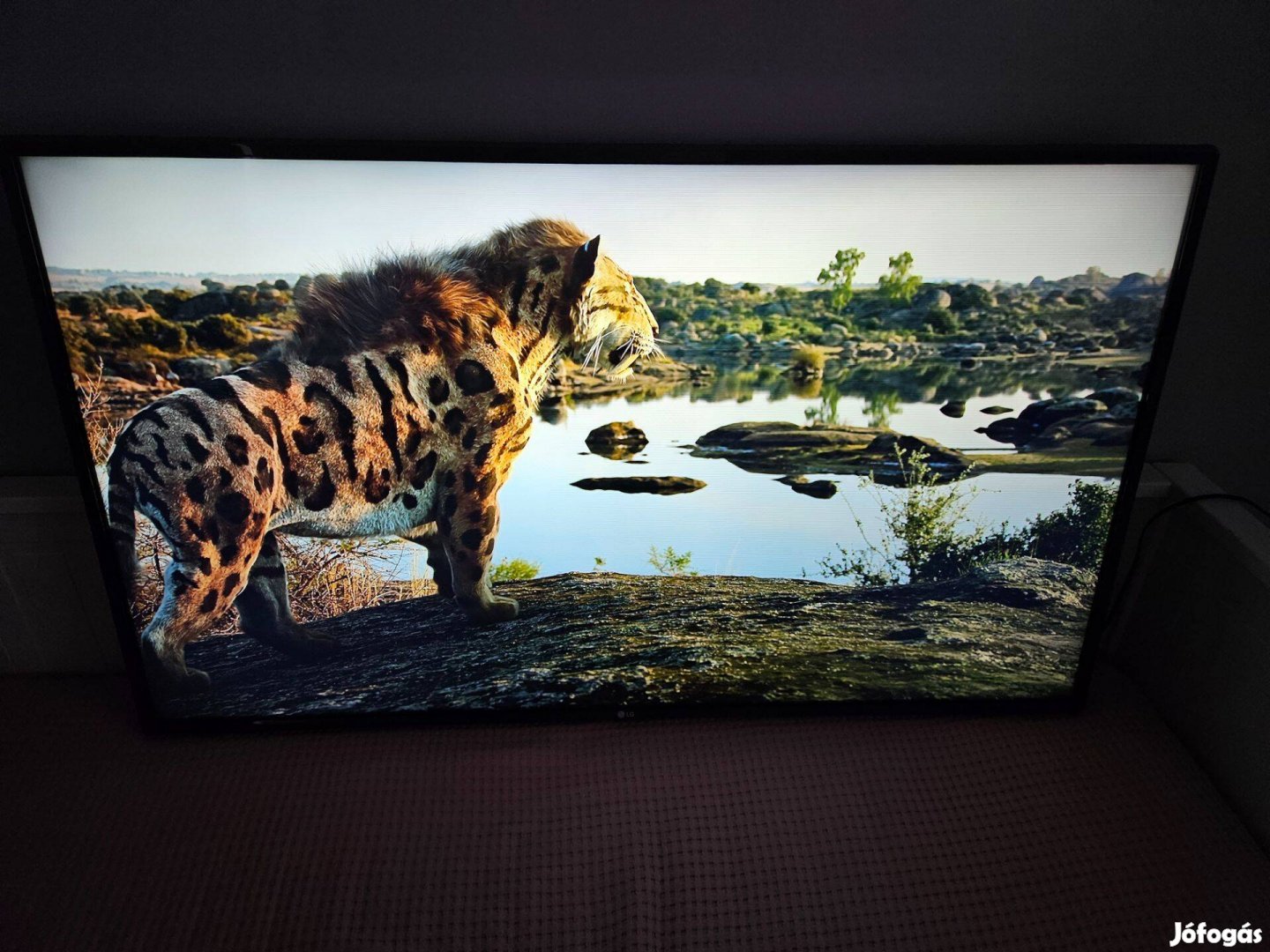 LG 49Uj6307 124cm UHD Smart Wifi LED TV (asztali állvány nélkül)