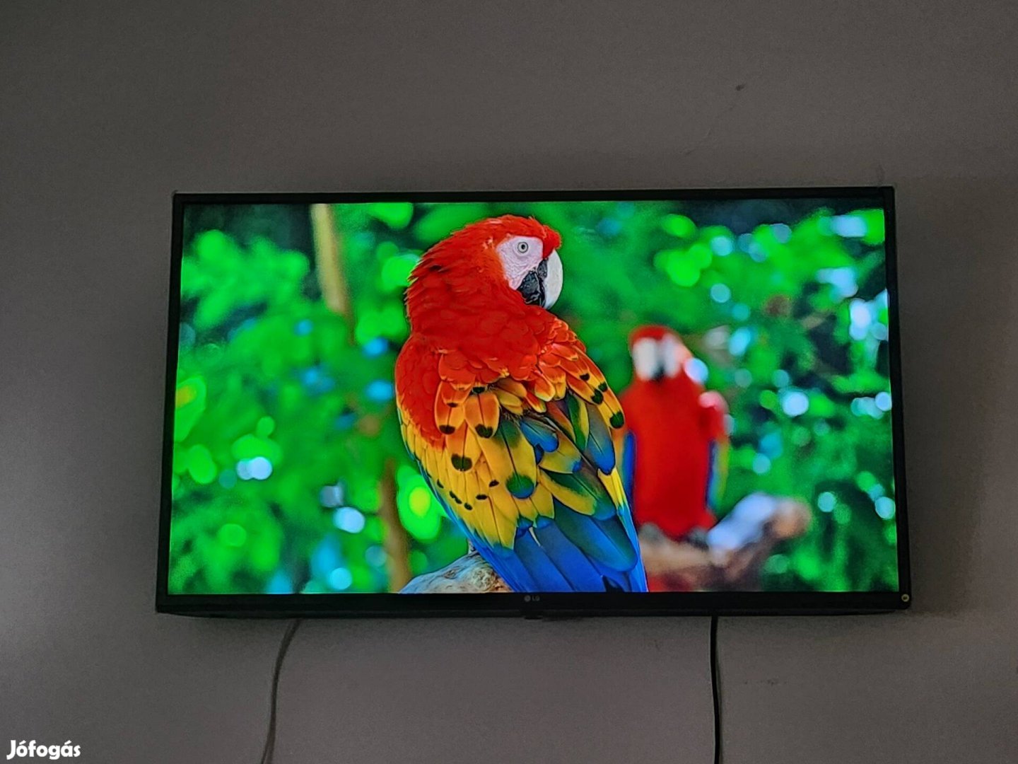 LG 4k Smart TV 108cm / Fóliás körbe a keret / IPS kijelző 