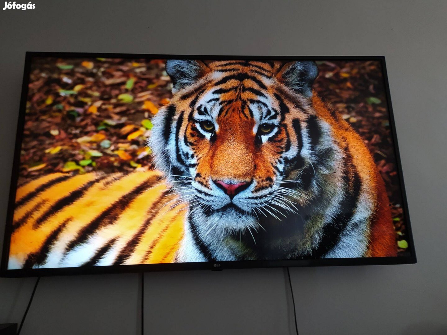 LG 55"- os 3éves 4K led smart t tv fali tartóval eladó