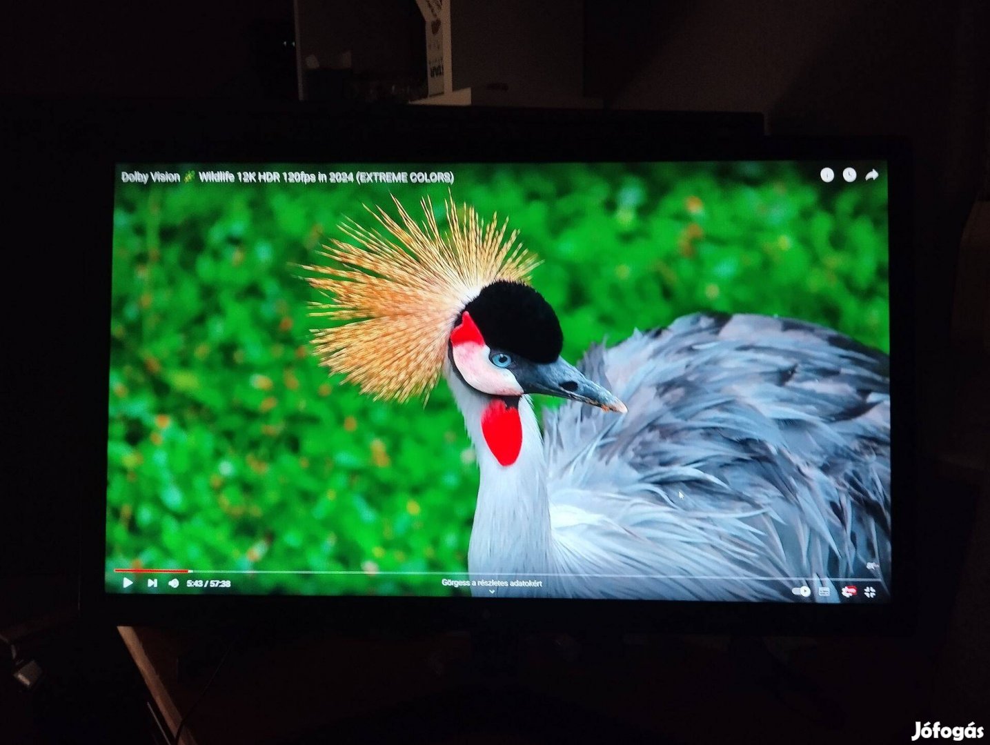 LG gamer monitor