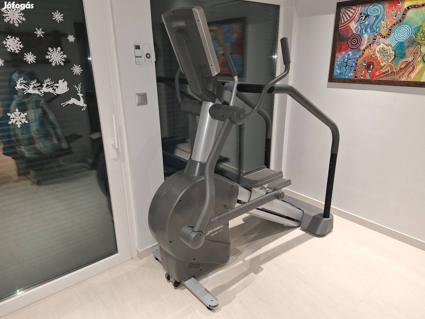 LIFE Fitness Summit Trainer