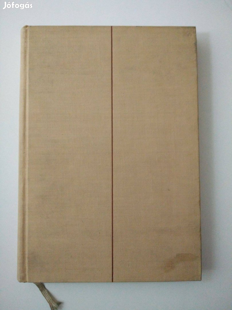 L. M. Paízek - A varázslók folyója