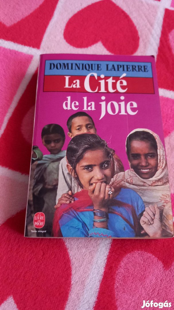 La cite de la joie-konyv franciaul