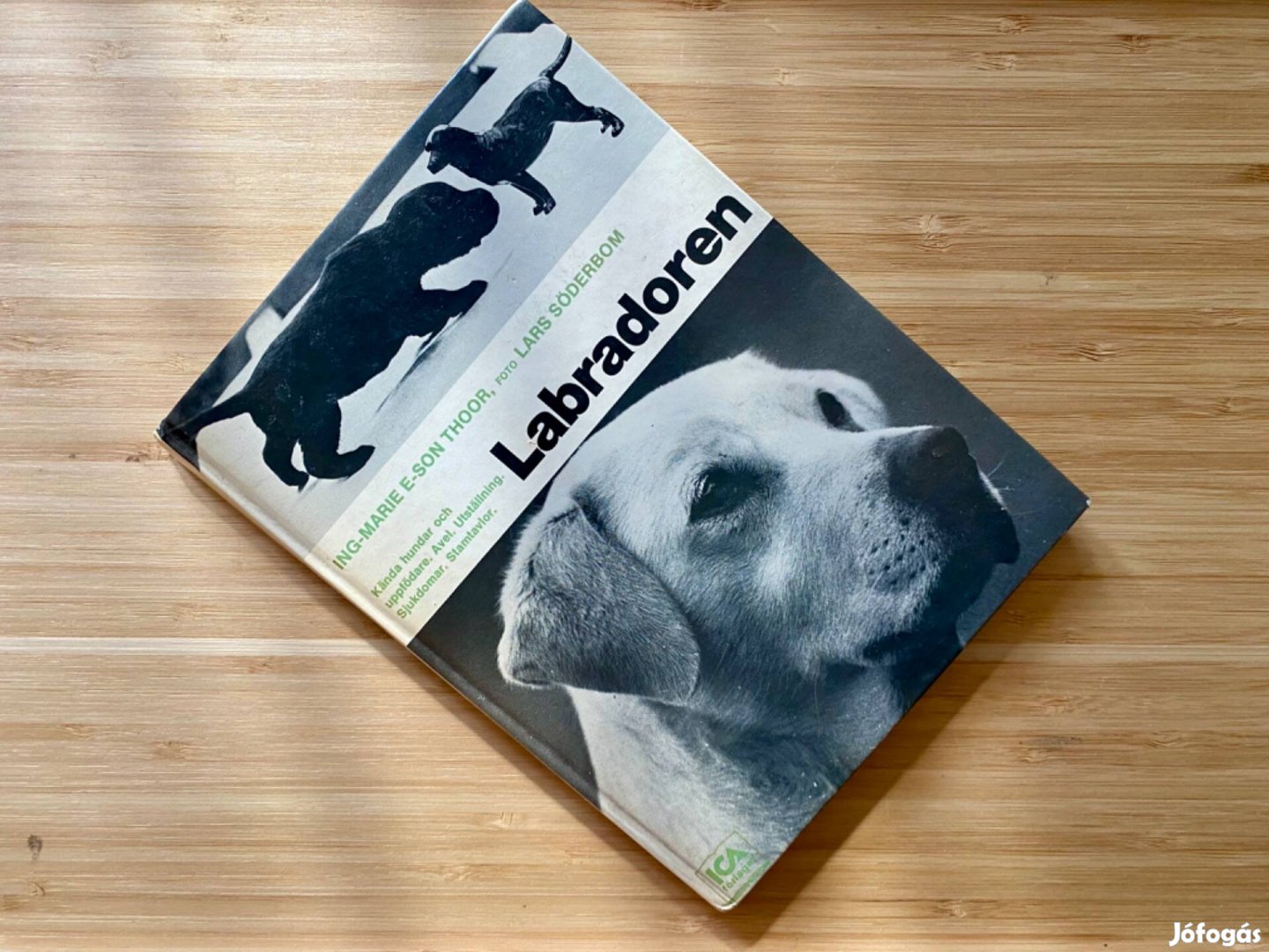 Labradoren - svéd nyelven