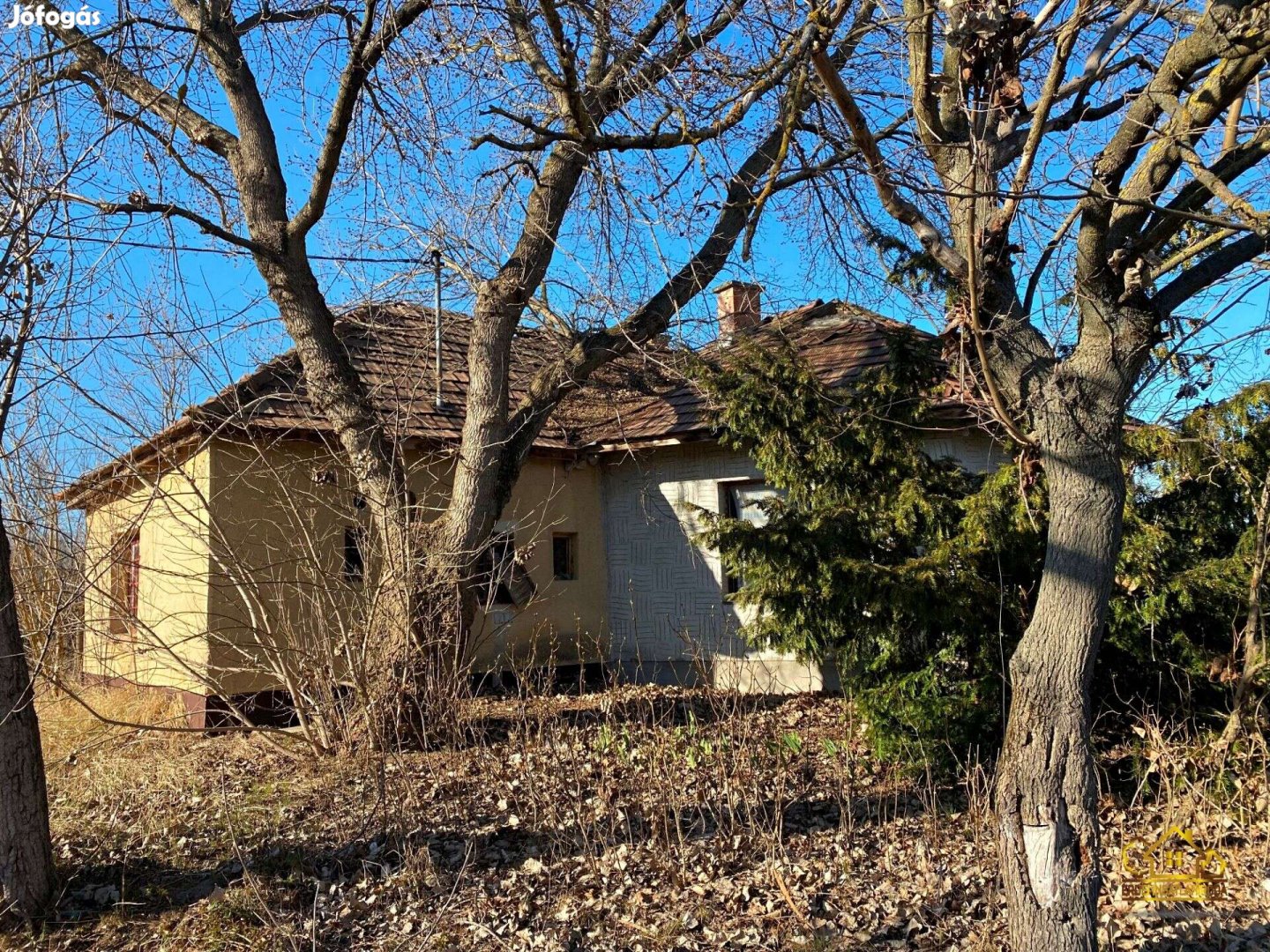 Lajosmizsén 8,1 HA tanya és erdő, gazdálkodásra, állattartás