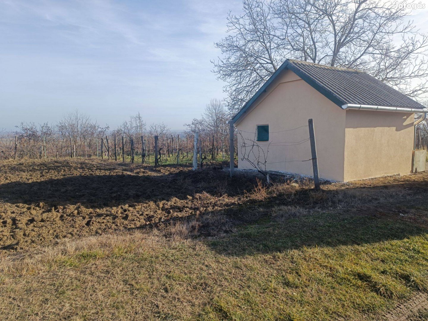 Lajvéri dombtetőn szántó/szőlős eladó