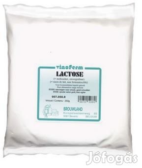 Laktóz ( Lactose ) 500g  ( 219 )