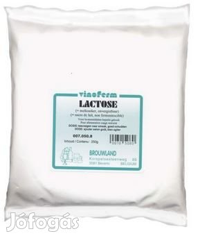 Laktóz ( Lactose ) 500g  ( 219 )