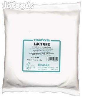 Laktóz / Tejcukor 1kg  (1161)