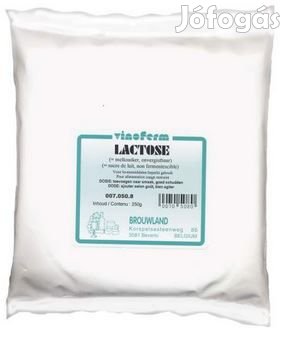 Laktóz / Tejcukor 1kg  (1161)