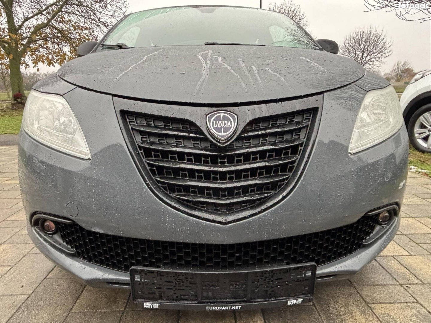 Lancia Ypsilon 1.2 8V S&S Gold EU6 101000km.Roz...