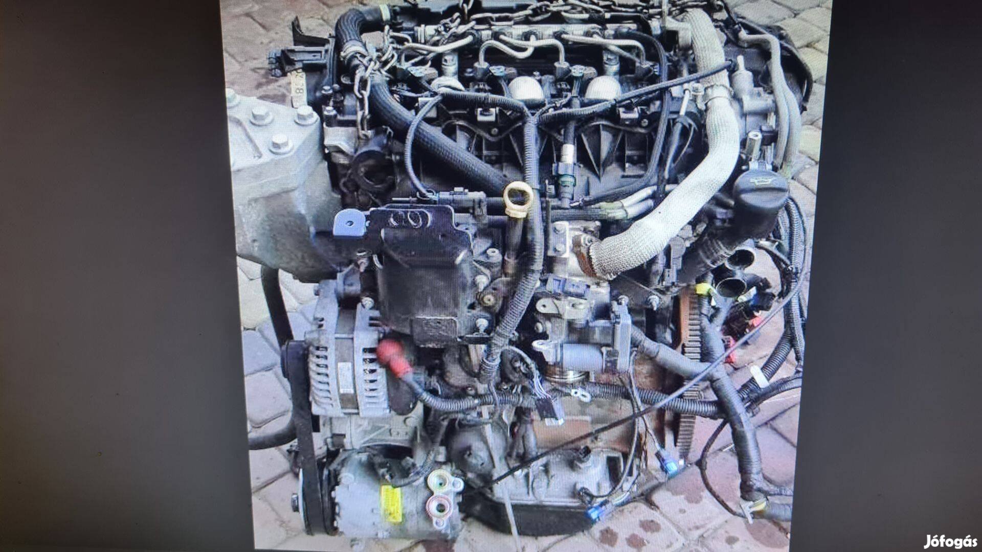 Land Rover Freelander Motor. 224DT