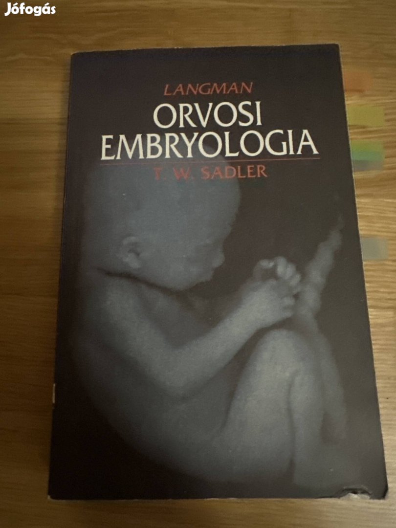 Langman Orvosi embryologia