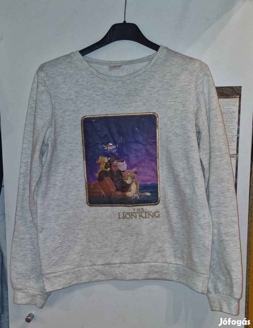 Lányka Disney pulóver