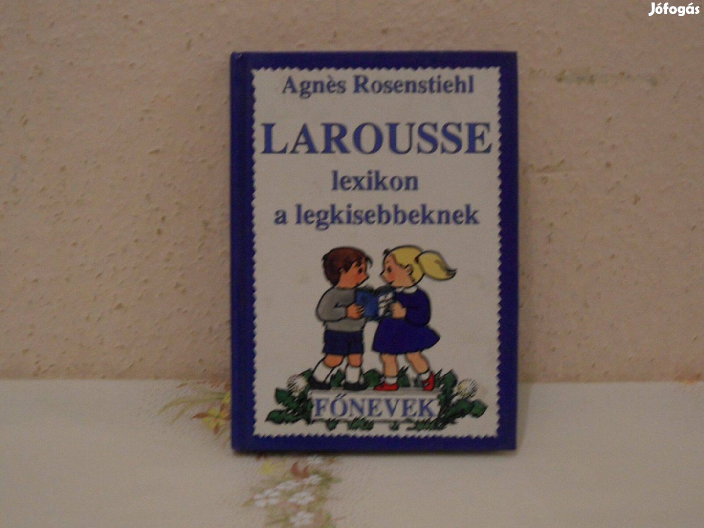 Larousse lexikon a legkisebbeknek ( Főnevek )