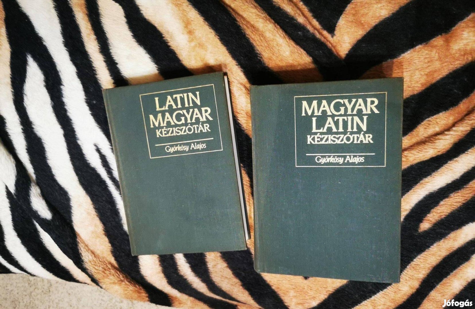 Latin-magyar magyar-latin szótár