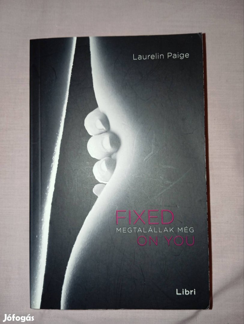 Laurein Paige -Fixed Megtalállak meg regény