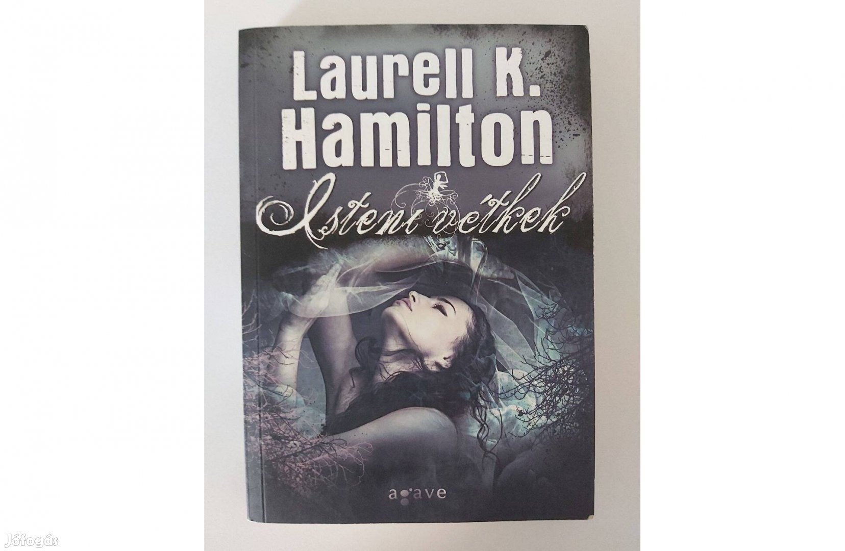 Laurell K. Hamilton: Isteni vétkek