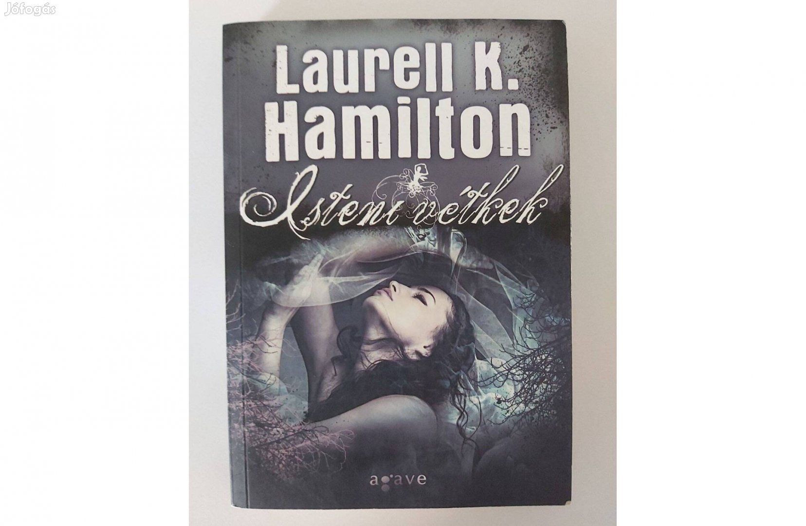 Laurell K. Hamilton: Isteni vétkek