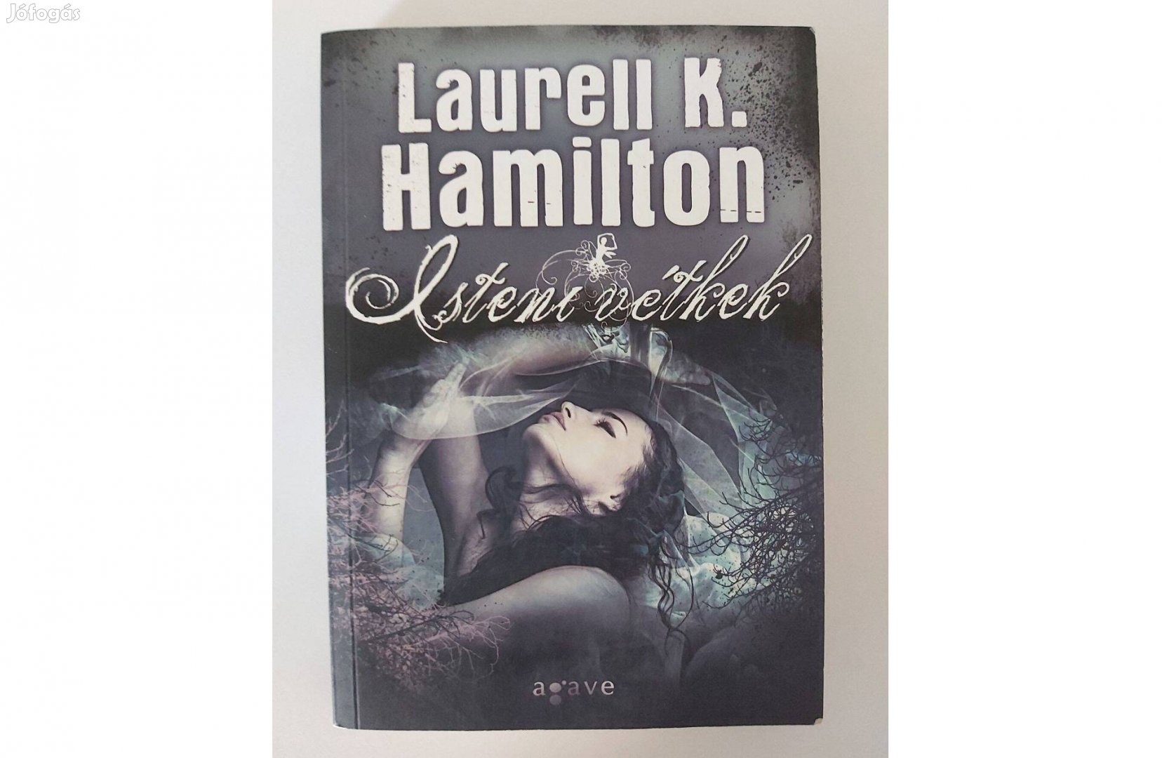 Laurell K. Hamilton: Isteni vétkek