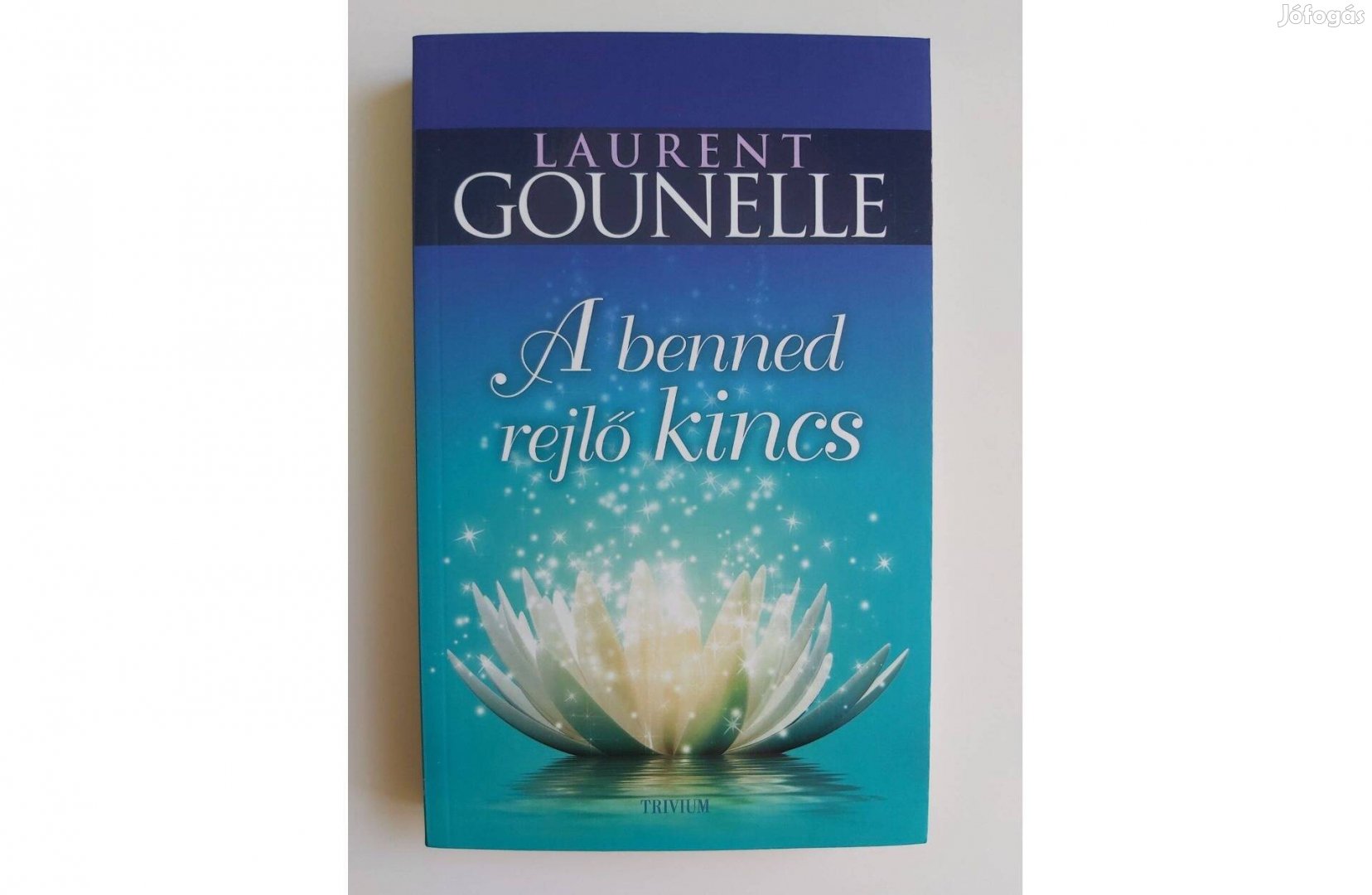 Laurent Gounelle: A benned rejlő kincs