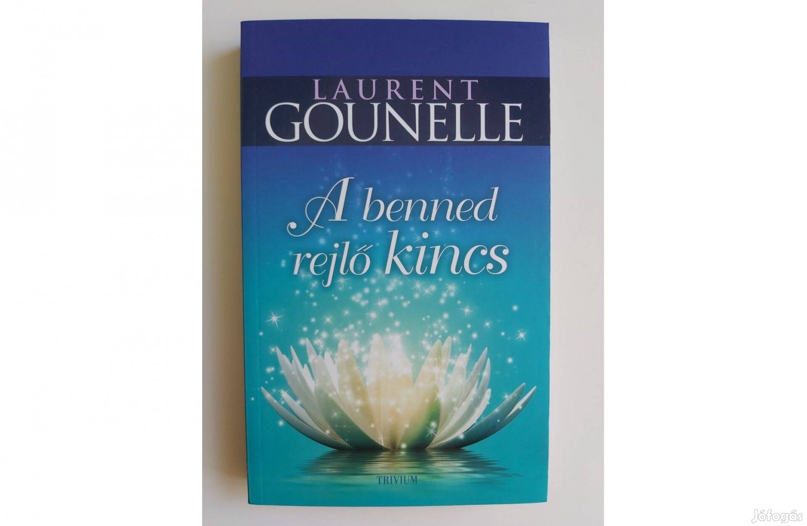 Laurent Gounelle: A benned rejlő kincs